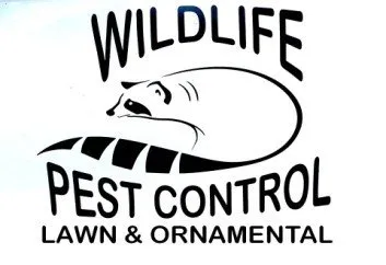 Top-rated lawn mowing service in Miami, FL by Wildlife Pest Control