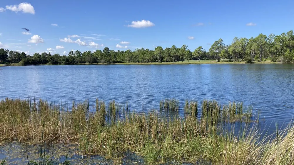 Custom yard maintenance experts serving Arcadia, FL - Wildlife's Choice Lake Management