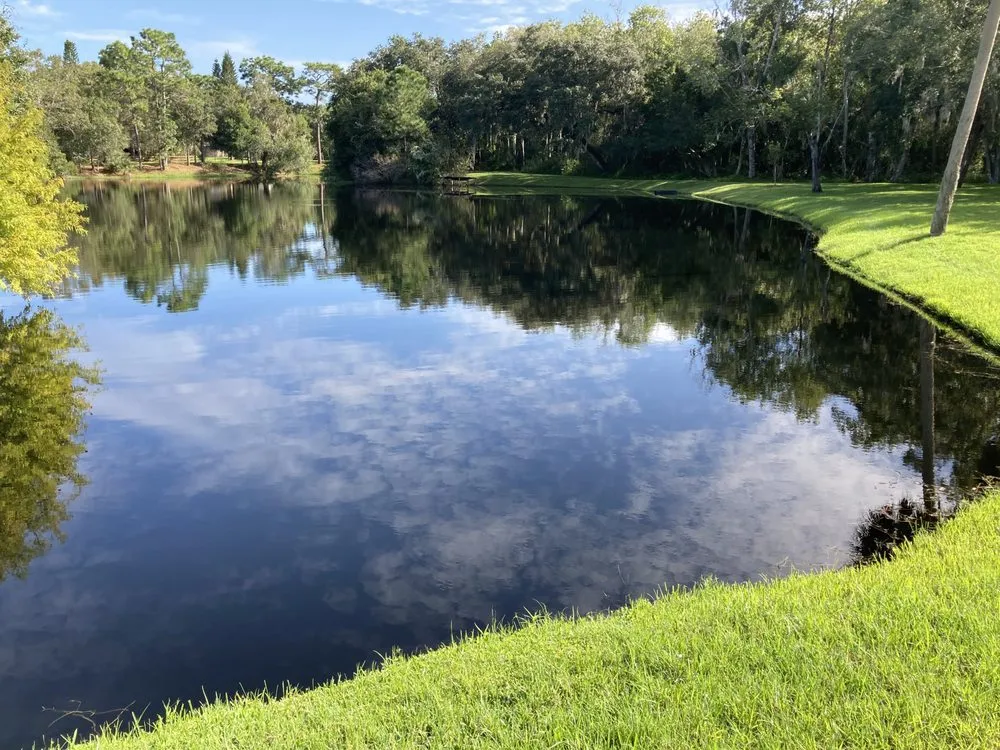 Trusted yard cleanup service experts serving Arcadia, FL - Wildlife's Choice Lake Management