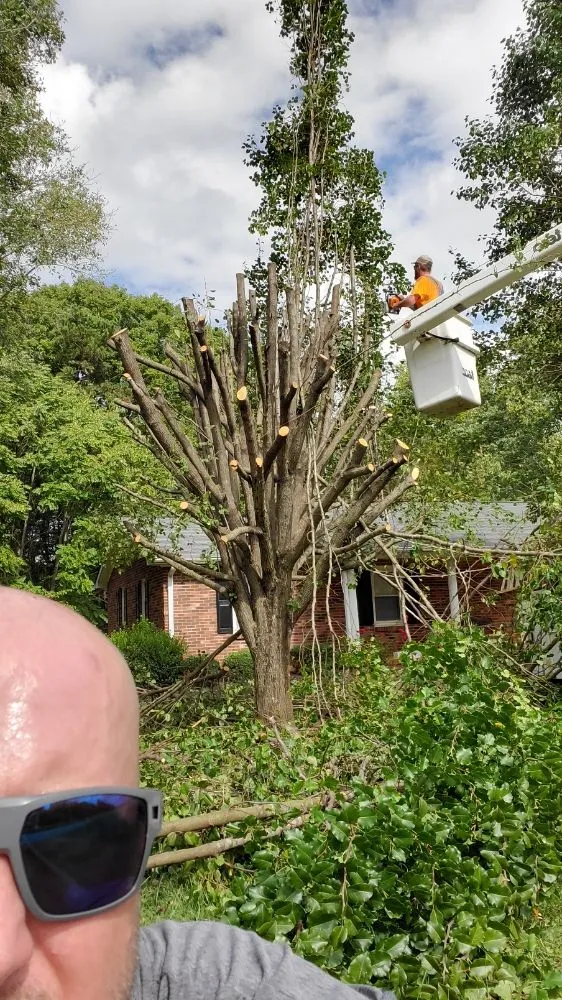 Custom garden landscaping in Ararat, NC by WILDLING'S TREE & LANDSCAPING
