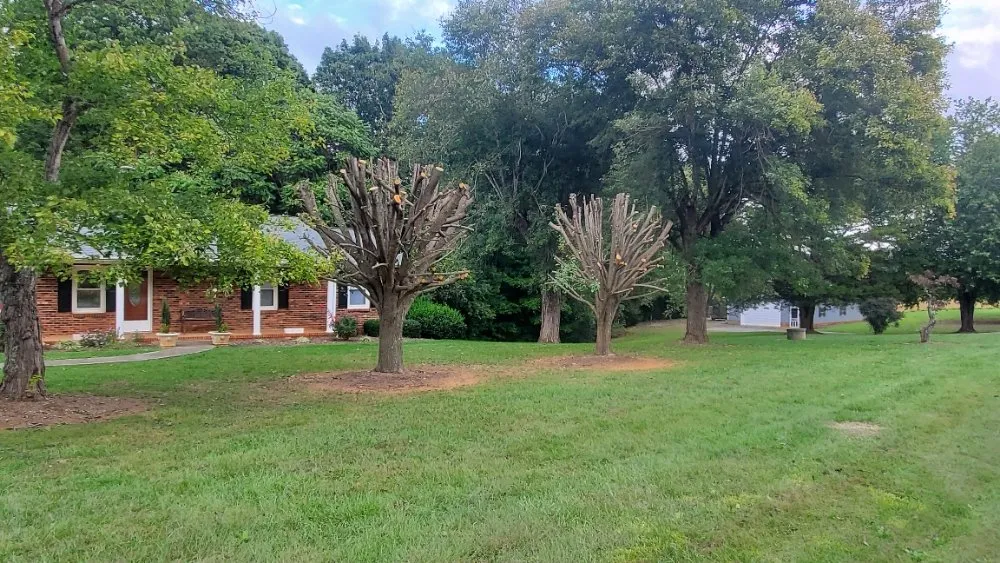 Reliable landscaping services with custom design in Ararat, NC by WILDLING'S TREE & LANDSCAPING