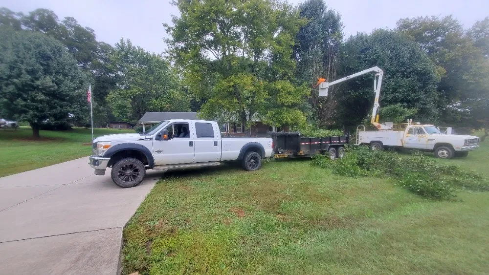 Local garden landscaping in Ararat, NC - WILDLING'S TREE & LANDSCAPING
