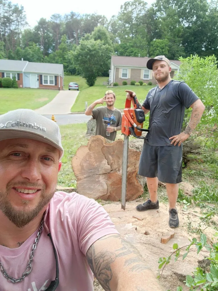 Custom yard maintenance in Ararat, NC - WILDLING'S TREE & LANDSCAPING