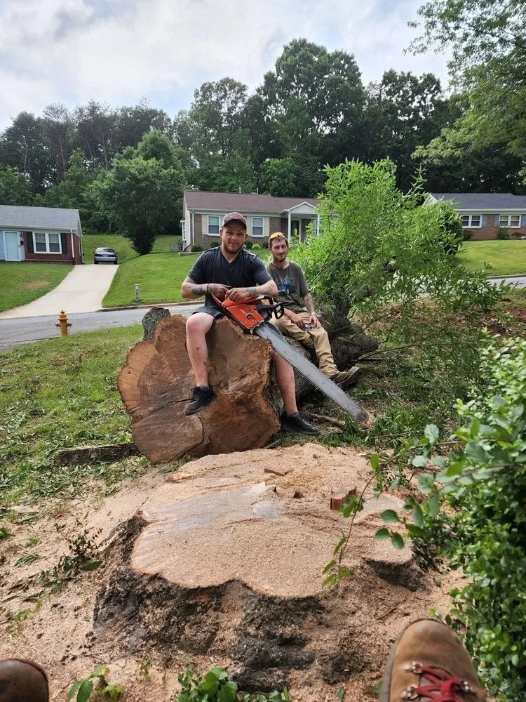 Reliable garden landscaping in Ararat, NC - WILDLING'S TREE & LANDSCAPING