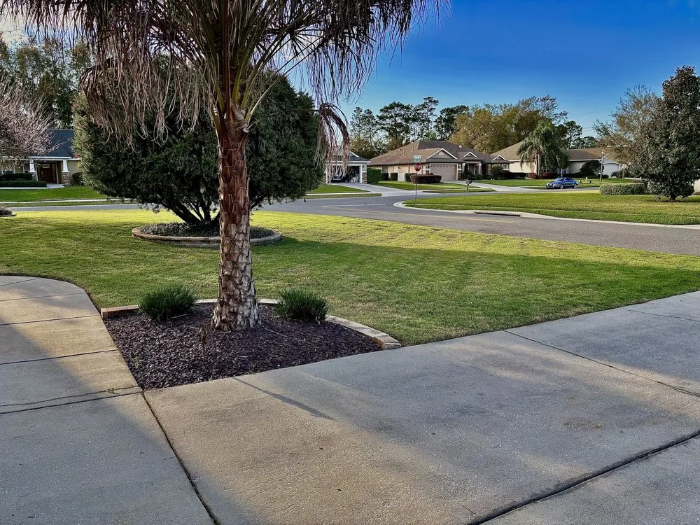 Reliable yard maintenance in Ocala, FL by Wildman Family Lawn Service