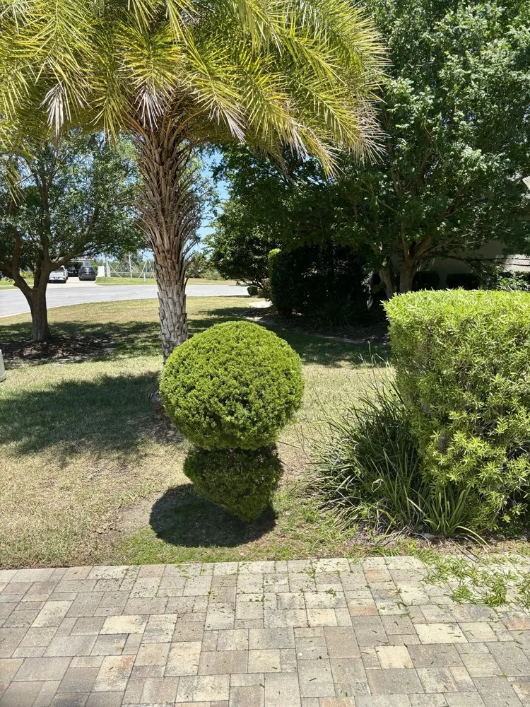 Affordable landscape design for year-round maintenance across Ocala, FL - Wildman Family Lawn Service