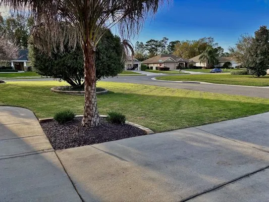 Wildman Family Lawn Service Logo