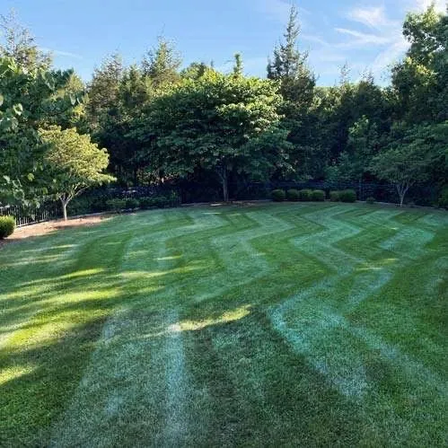 Expert yard cleanup service in Heath, OH - WildRoots Landscaping
