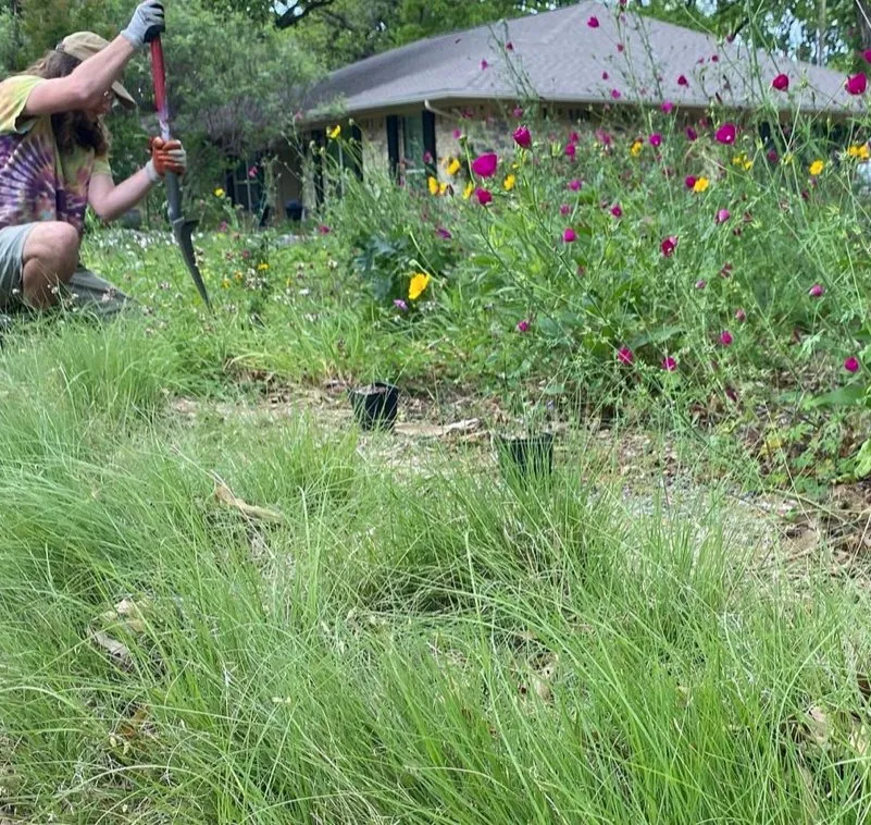 Expert lawn care service in Denton, TX - Wildscapers