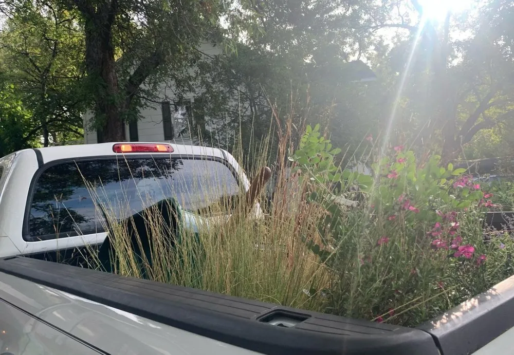 Trusted outdoor landscaping for residential properties across Denton, TX - Wildscapers