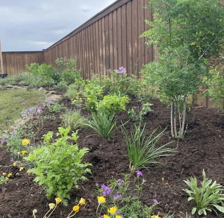 Reliable landscaping services experts serving Denton, TX - Wildscapers