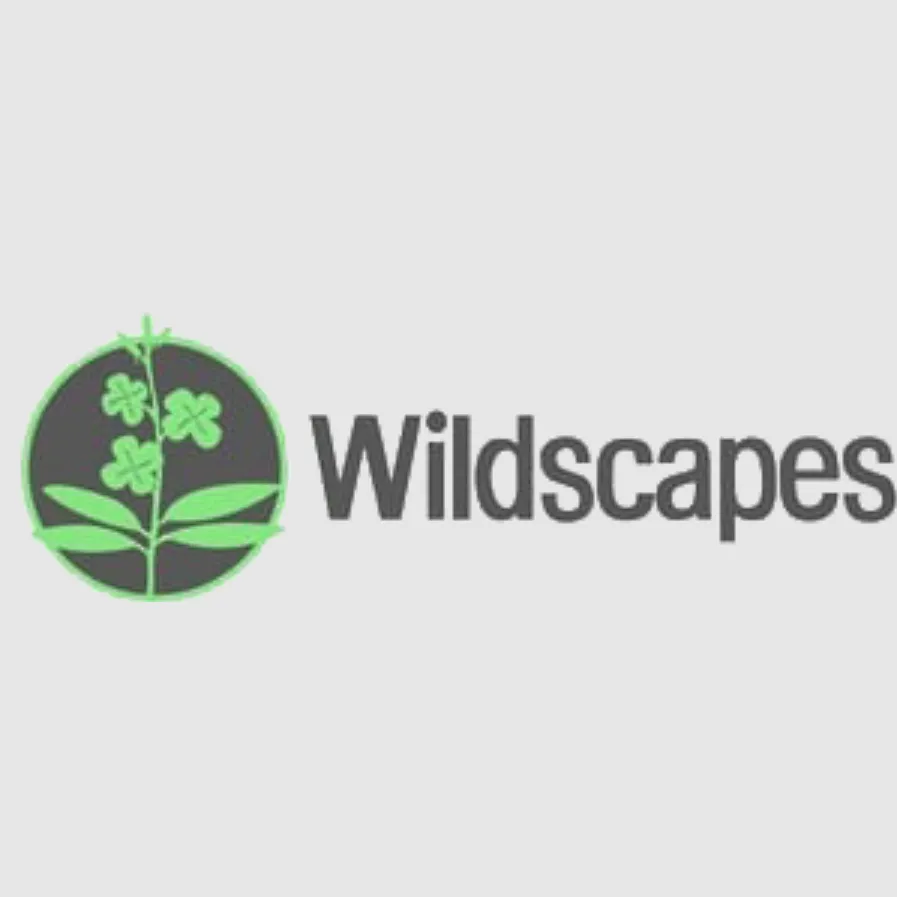 Expert residential landscaping in Heber Springs, AR by Wildscapes