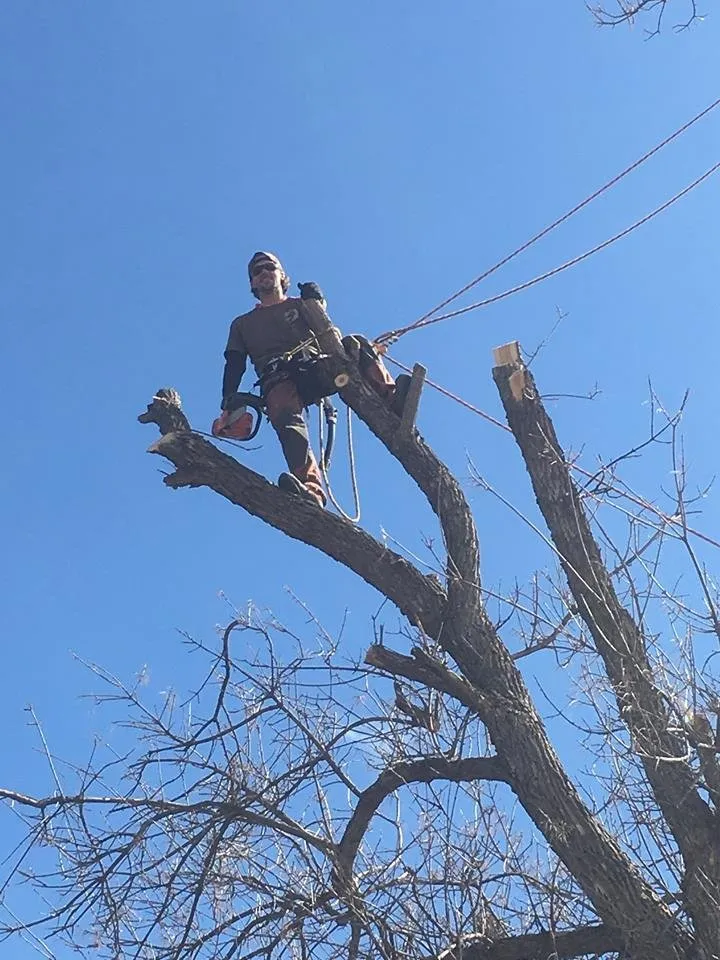 Affordable landscape design for residential properties in Loveland, CO by Wildscaping Unlimited