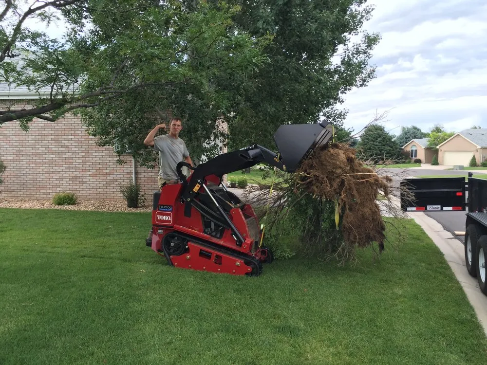Professional yard cleanup service experts serving Loveland, CO - Wildscaping Unlimited