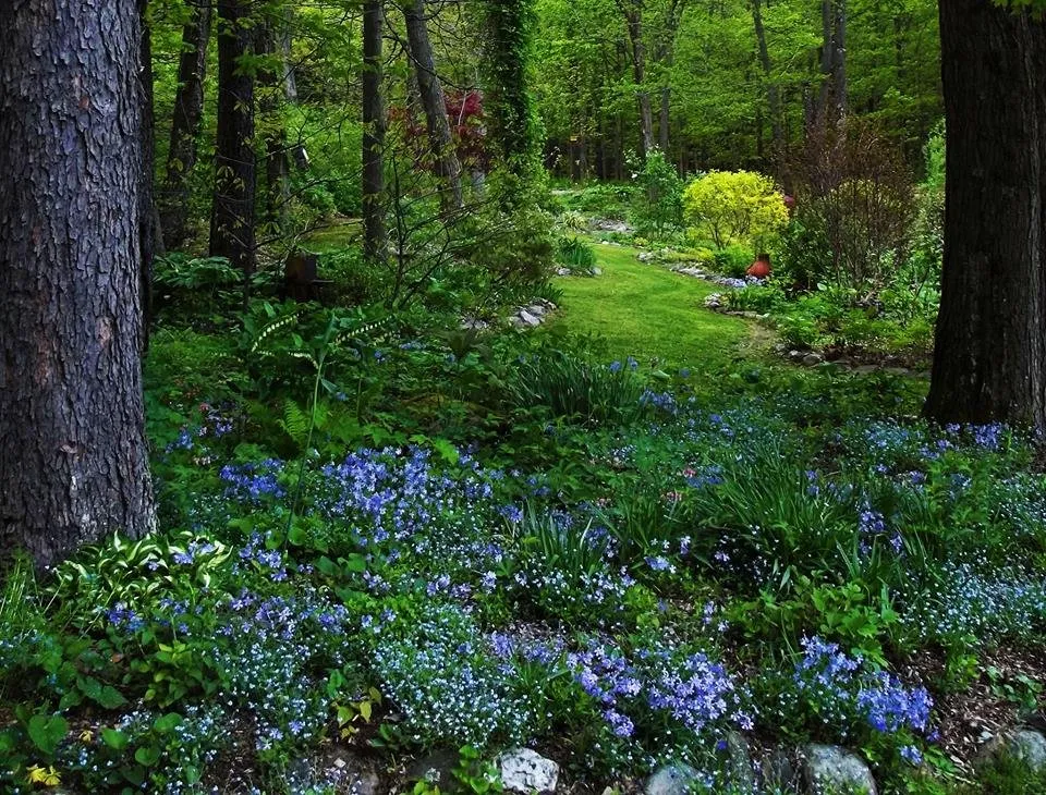 Local residential landscaping for residential properties in Valley Falls, NY by WildThings Rescue Nursery
