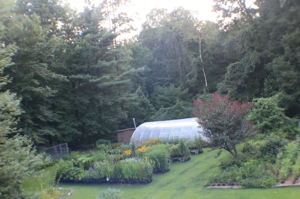 Affordable yard cleanup service for residential properties in Valley Falls, NY by WildThings Rescue Nursery