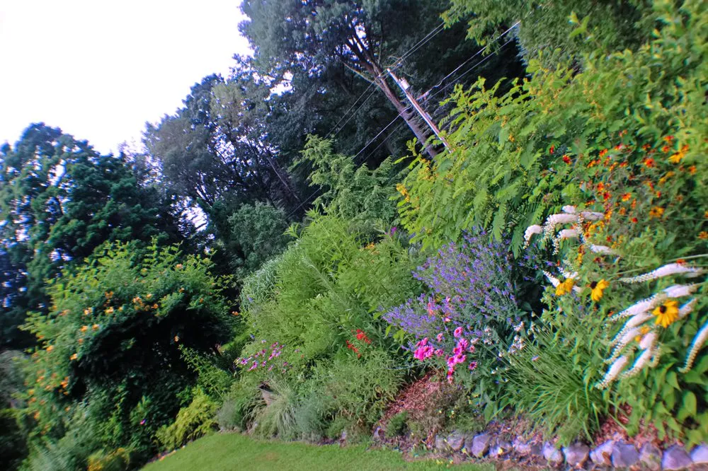 Affordable landscaping services experts serving Valley Falls, NY - WildThings Rescue Nursery