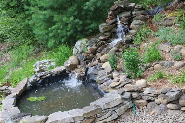 WildThings Rescue Nursery