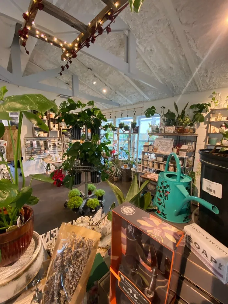 Professional lawn mowing service for year-round maintenance across Shalimar, FL - Wildwood Garden Shoppe & Nursery