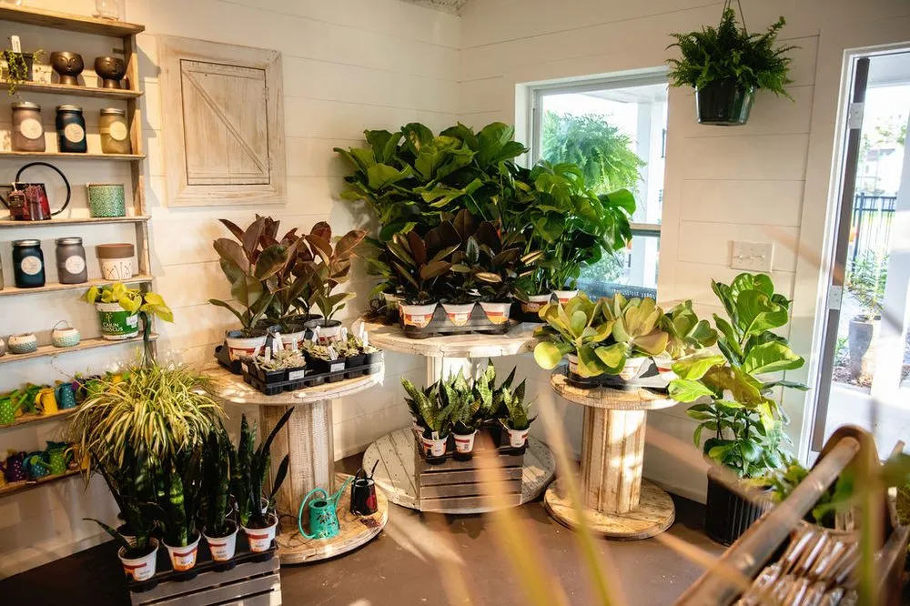 Custom lawn mowing service for residential properties in Shalimar, FL by Wildwood Garden Shoppe & Nursery