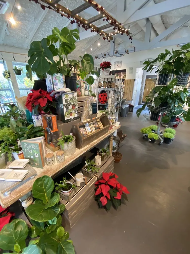 Reliable lawn care service near you in Shalimar, FL by Wildwood Garden Shoppe & Nursery