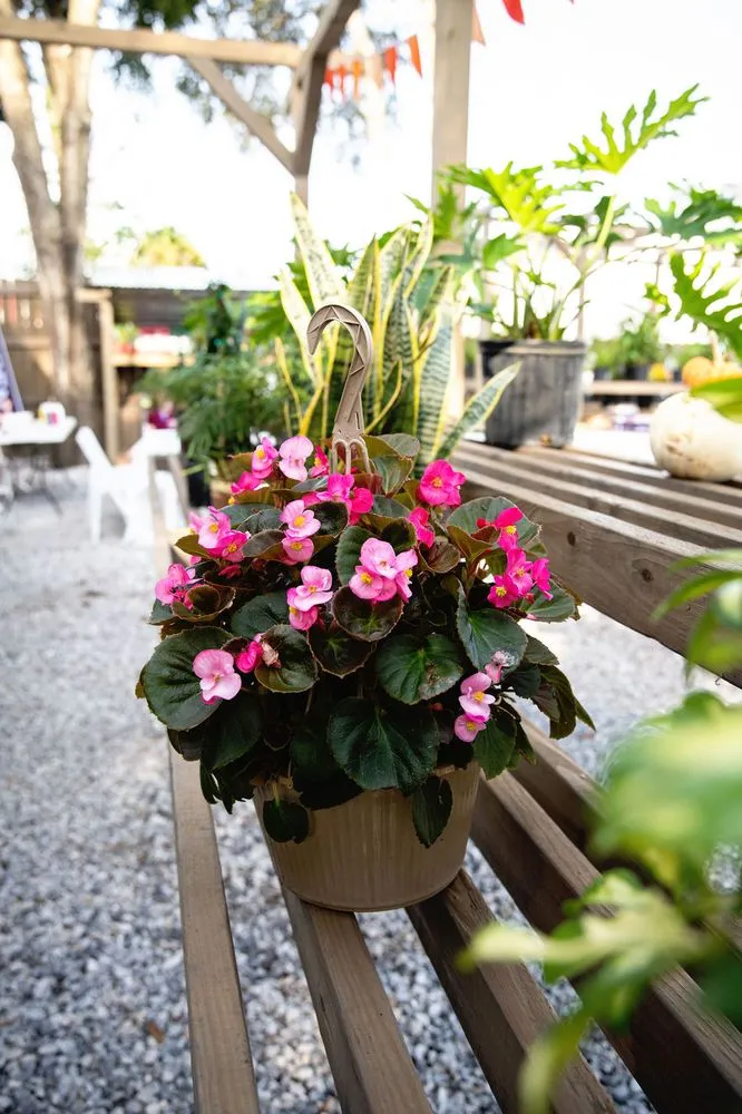 Custom landscaping services for year-round maintenance in Shalimar, FL by Wildwood Garden Shoppe & Nursery