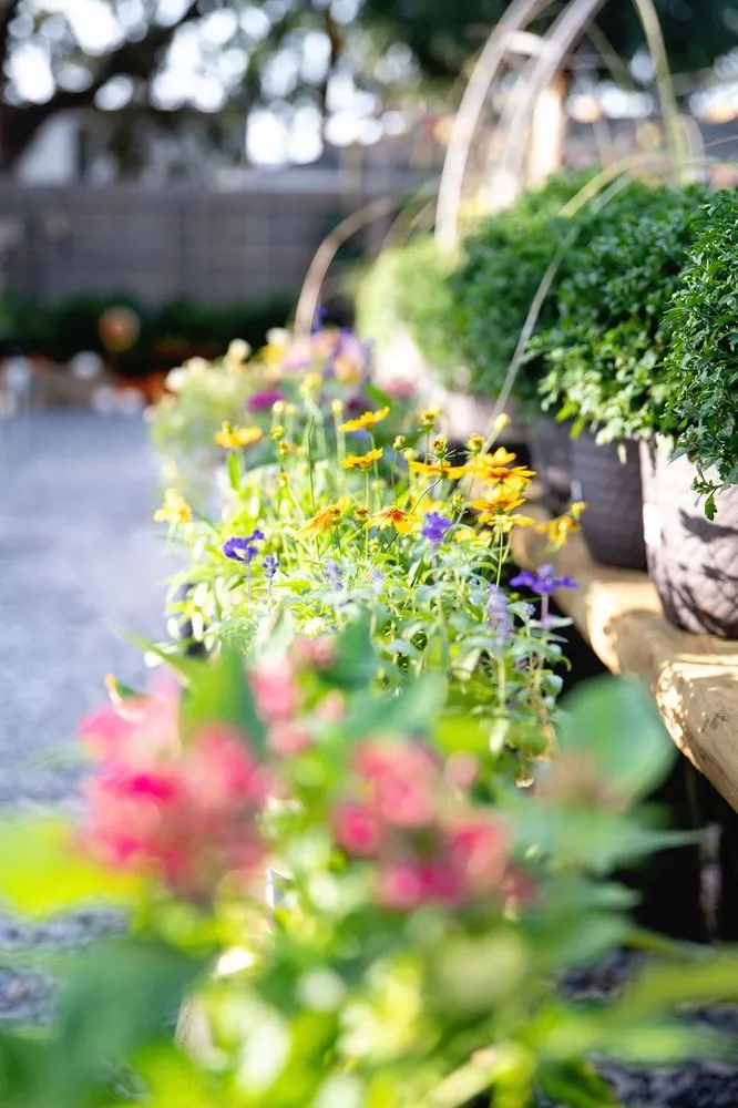 Professional landscape design in Shalimar, FL by Wildwood Garden Shoppe & Nursery