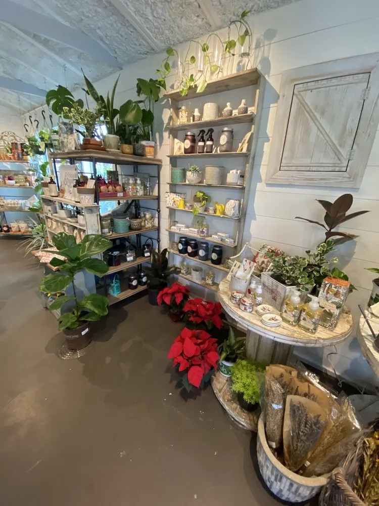 Professional landscaping services in Shalimar, FL - Wildwood Garden Shoppe & Nursery