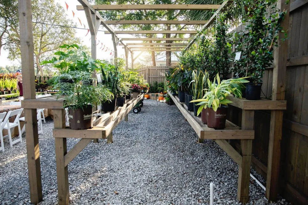 Top-rated lawn mowing service near you in Shalimar, FL by Wildwood Garden Shoppe & Nursery