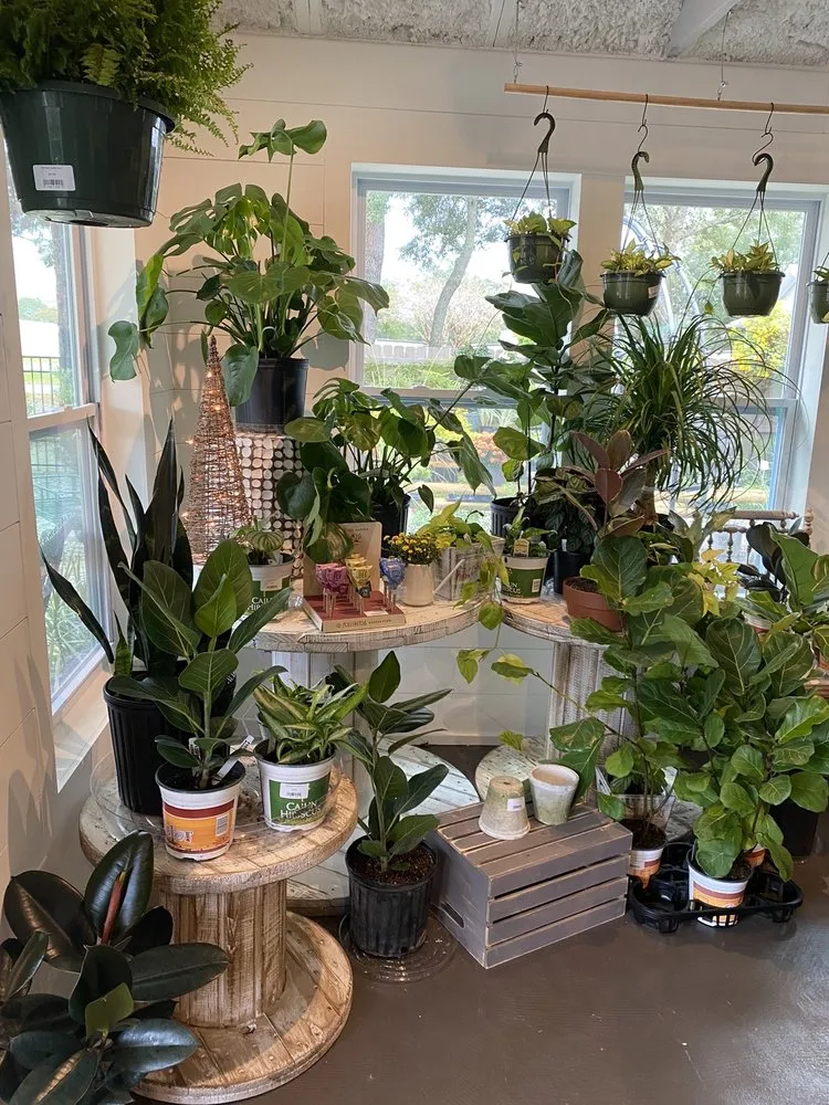 Top-rated residential landscaping for homes in Shalimar, FL by Wildwood Garden Shoppe & Nursery