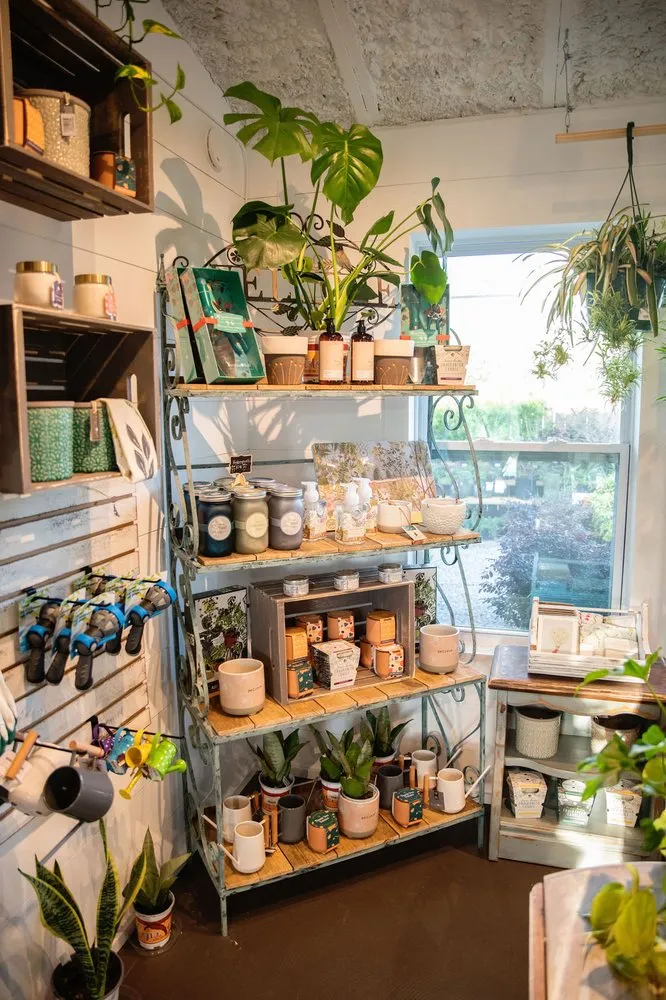 Local yard cleanup service in Shalimar, FL by Wildwood Garden Shoppe & Nursery