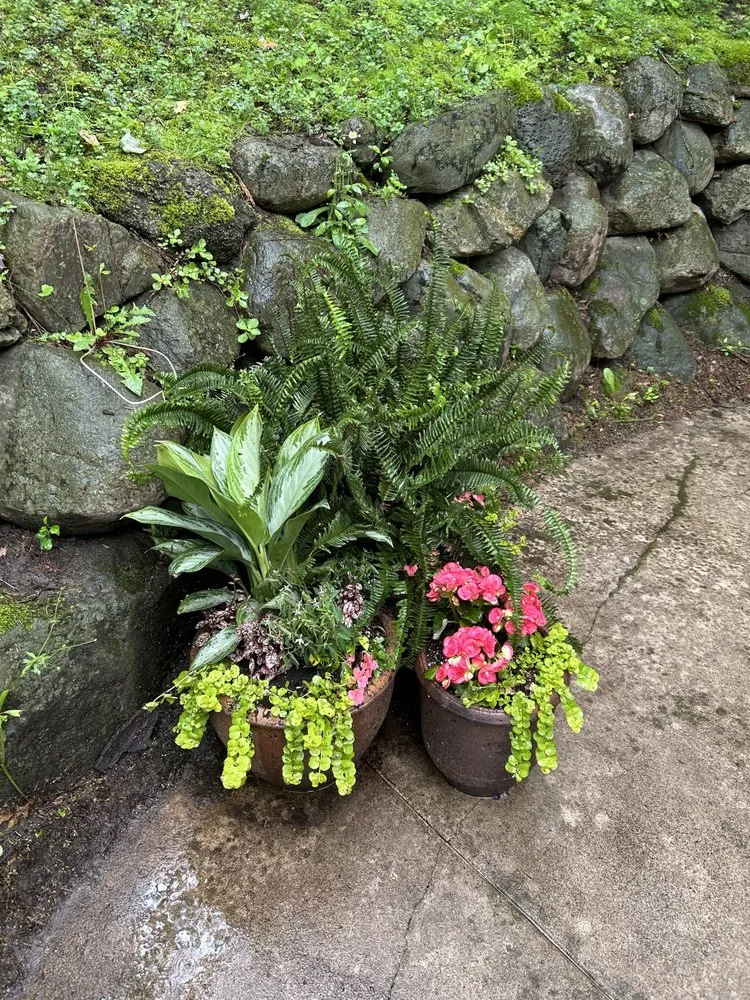 Top-rated lawn mowing service in Marquette, MI - Wildwood Gardening