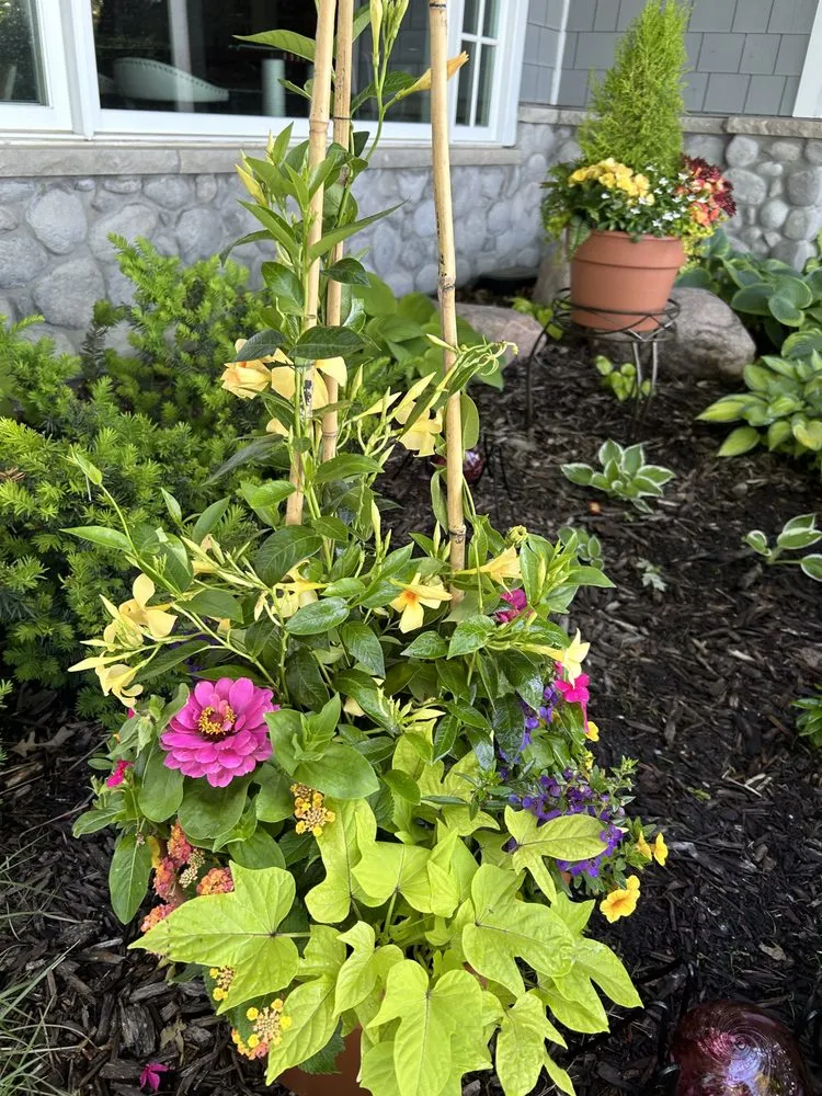 Top-rated yard maintenance in Marquette, MI - Wildwood Gardening