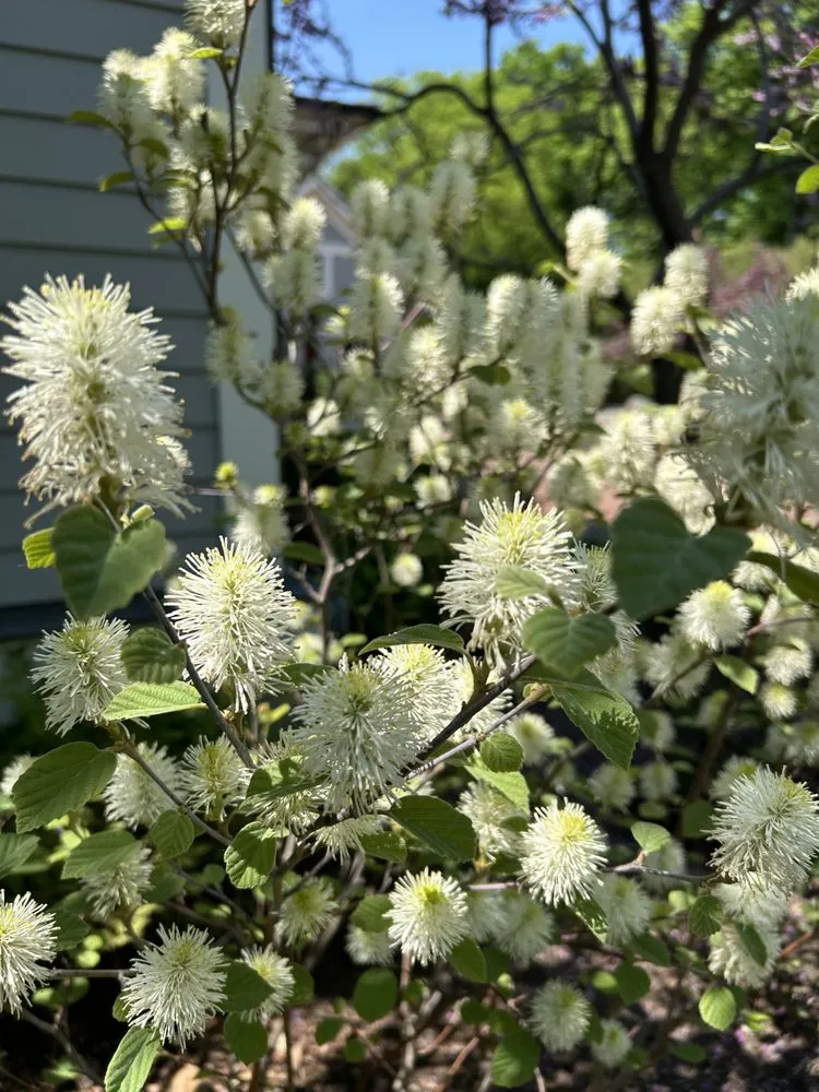 Trusted yard cleanup service with custom design in Marquette, MI by Wildwood Gardening