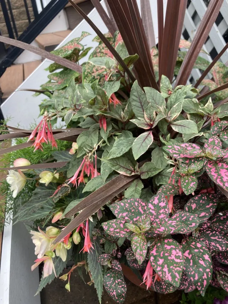 Top-rated outdoor landscaping for beautiful yards in Marquette, MI by Wildwood Gardening