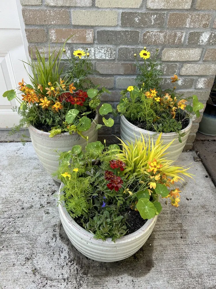 Expert yard cleanup service in Marquette, MI by Wildwood Gardening