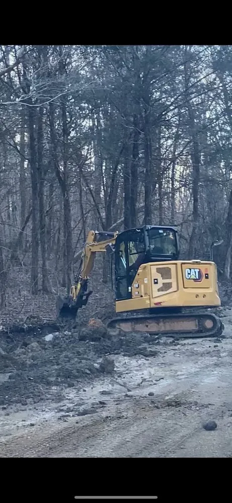 Affordable lawn care service for beautiful yards across Tuscumbia, AL - Wildwood Land Solutions