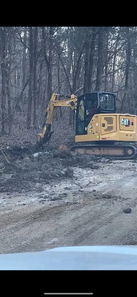 Affordable yard cleanup service for residential properties across Tuscumbia, AL - Wildwood Land Solutions