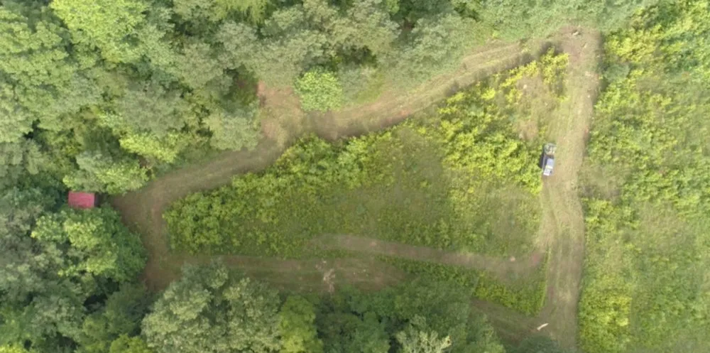 Professional lawn mowing service near you across Tuscumbia, AL - Wildwood Land Solutions