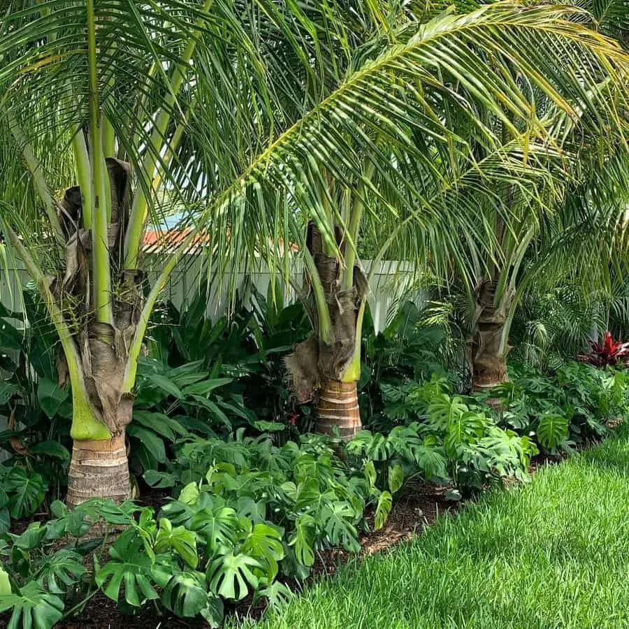 Reliable residential landscaping for homes across North Fort Myers, FL - Wildwood Landscape