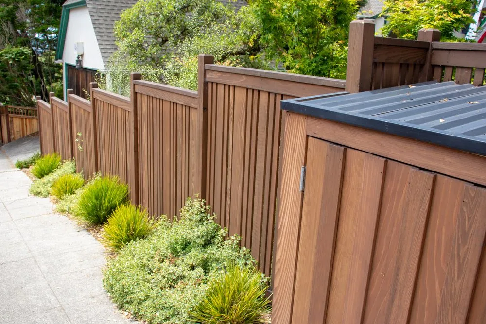 Expert yard cleanup service in Berkeley, CA by Wildwood Landscapes