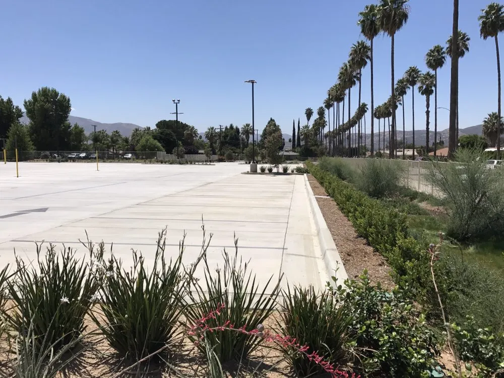 Top-rated yard cleanup service experts serving Yucaipa, CA - Wildwood Landscapes