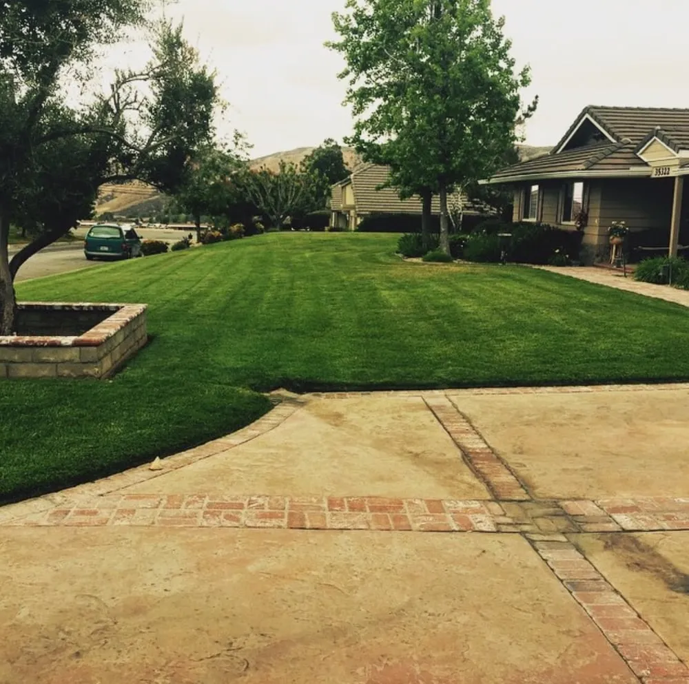 Expert yard cleanup service for residential properties in Yucaipa, CA by Wildwood Landscapes