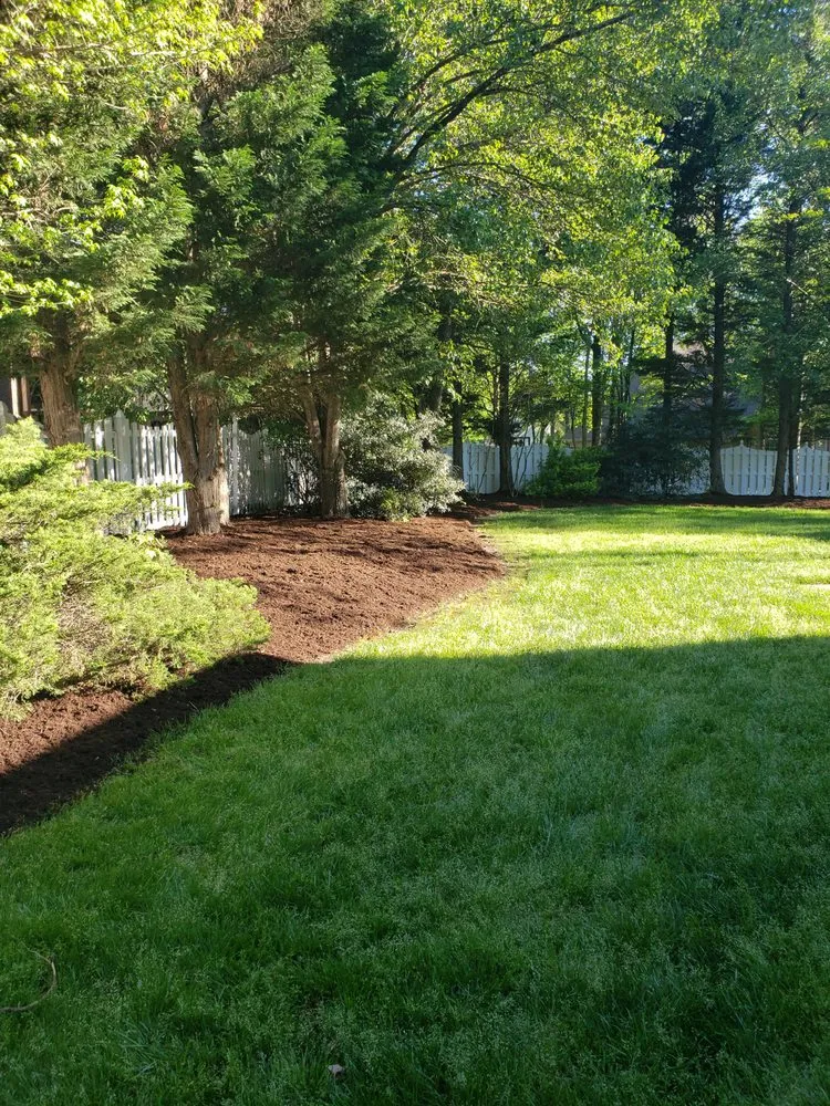 Local yard maintenance for year-round maintenance across Greensboro, NC - Wildwood Landscaping