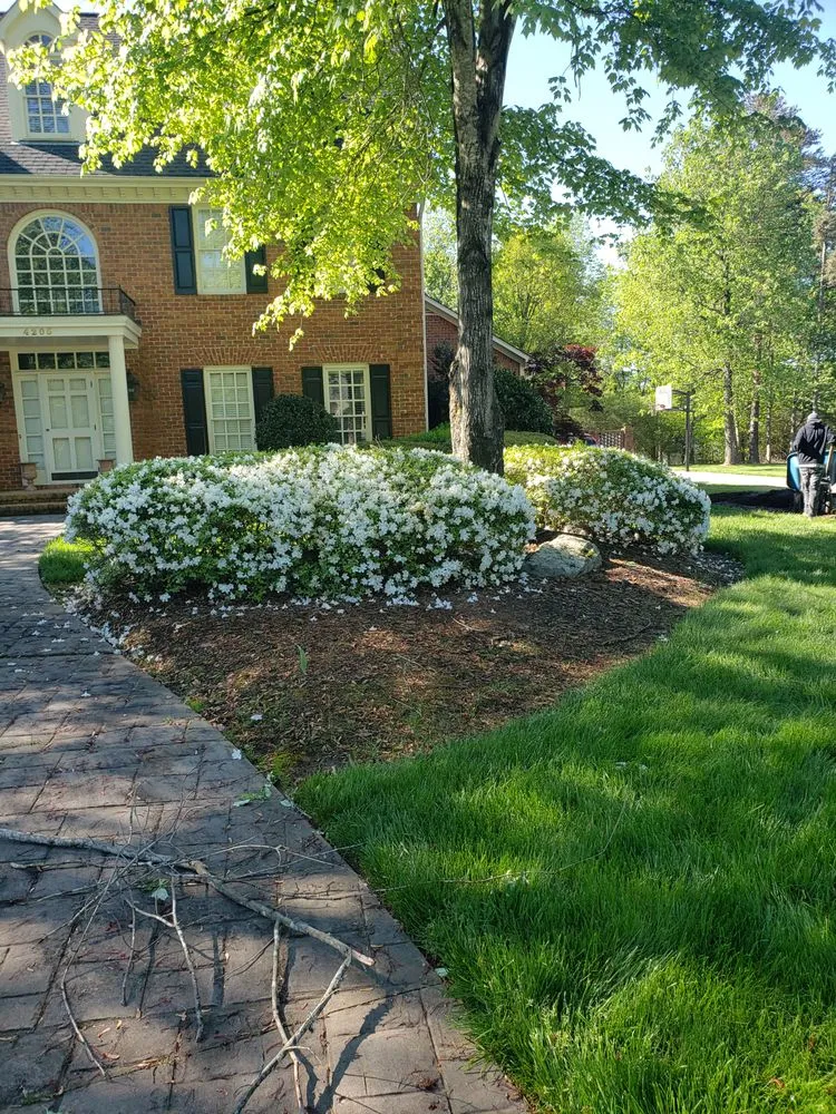 Trusted outdoor landscaping experts serving Greensboro, NC - Wildwood Landscaping