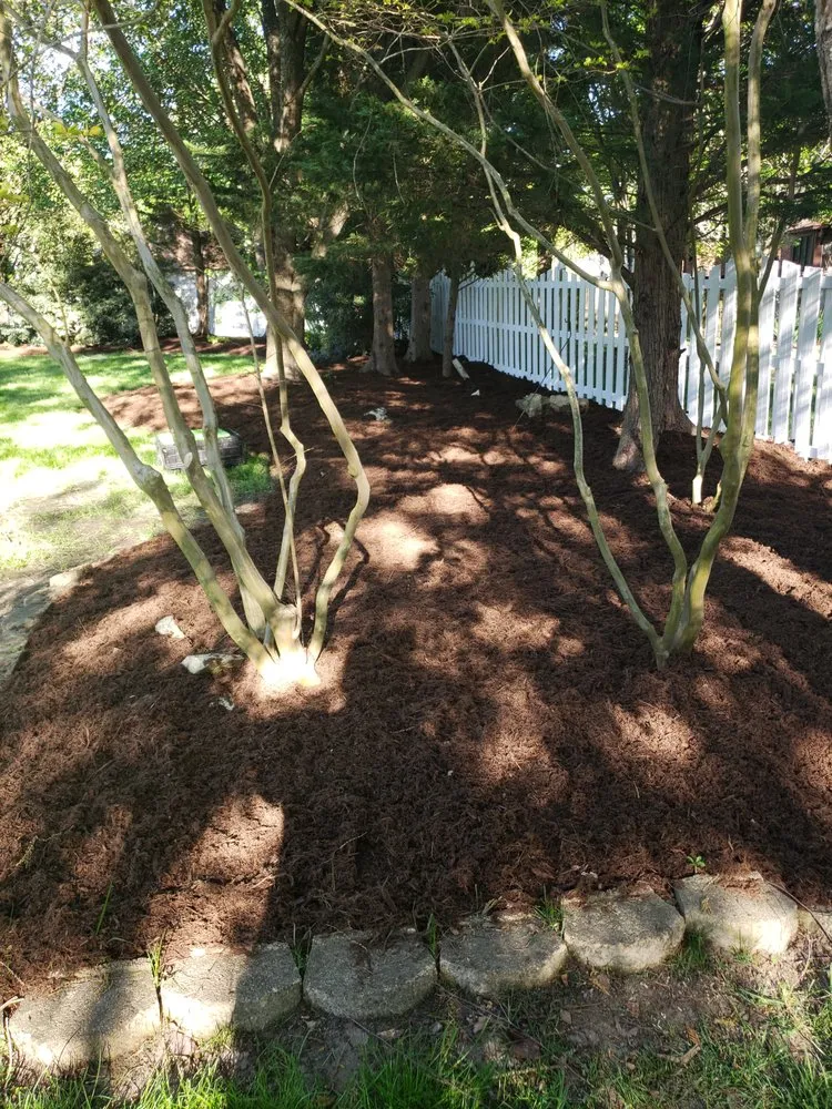 Professional outdoor landscaping for residential properties in Greensboro, NC by Wildwood Landscaping