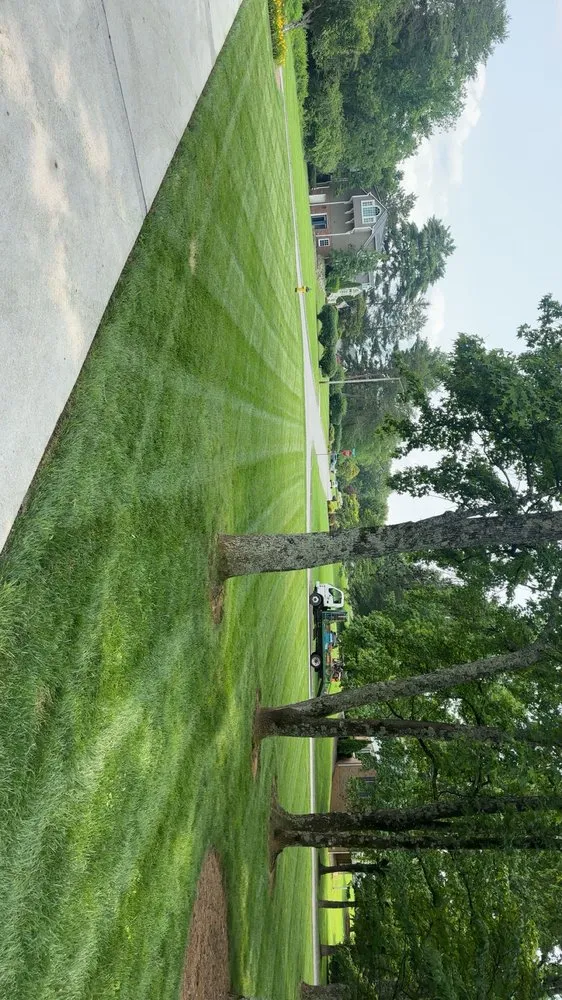 Reliable landscape installation for beautiful yards across Maryville, TN - Wildwood Lawn Care