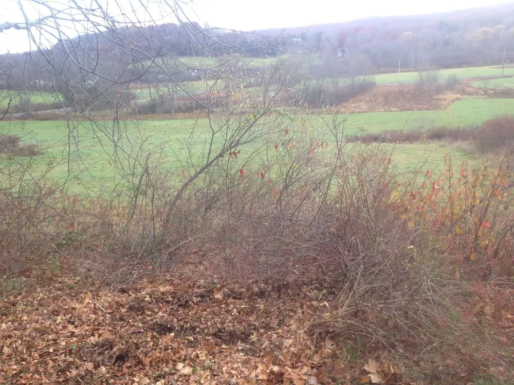 Trusted garden landscaping with custom design across Middletown, CT - Wildwood Lawn Care