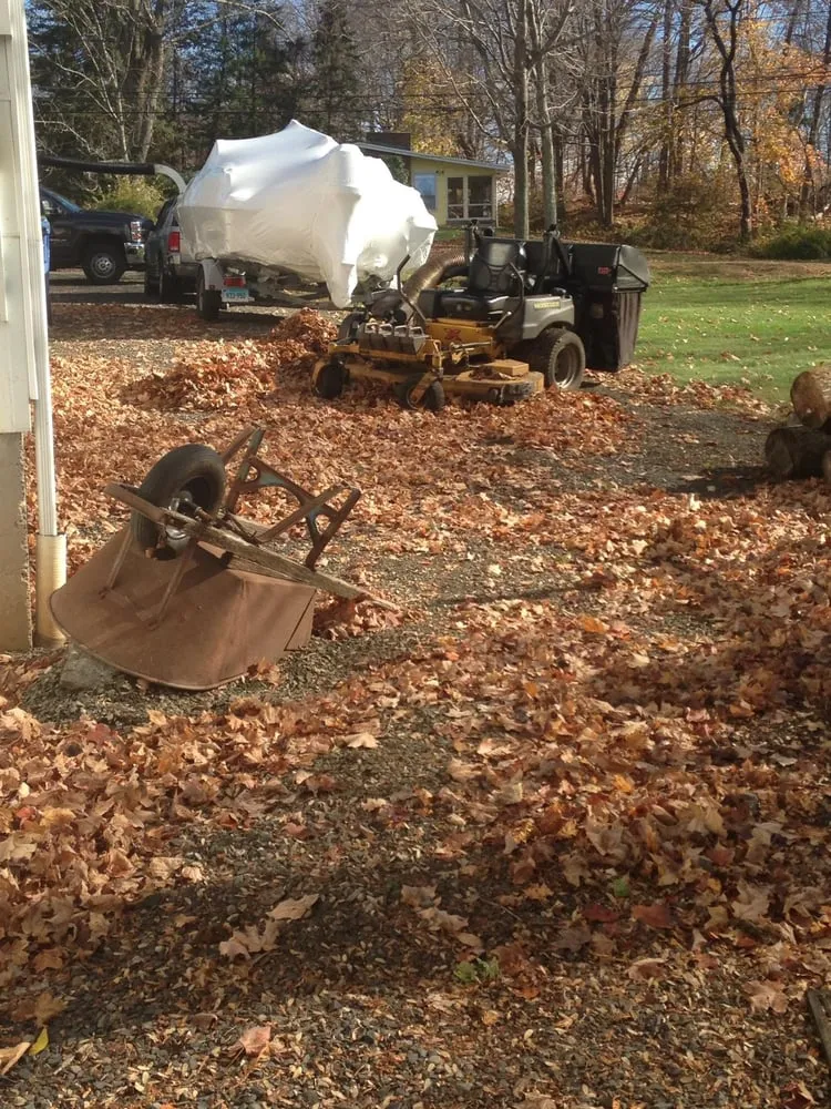 Top-rated lawn care service in Middletown, CT - Wildwood Lawn Care