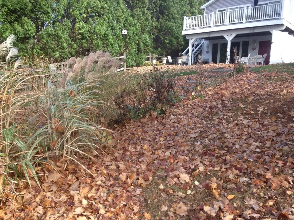 Trusted yard cleanup service in Middletown, CT by Wildwood Lawn Care